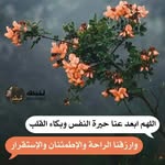 Ola Afifi Hammad Ola - @olaafifihammad - Instagram