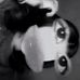 Britt Olazabal - Facebook