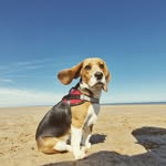 Ola Campbell - @olacampbell23 - Instagram