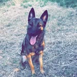 OlaConnerie - @olaconnerie66 - Instagram