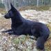 Ola Conradsson - Facebook