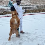 Ola David - @labiosha - Instagram