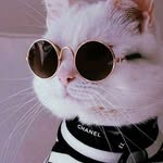 я оладик - @olad_ick - Instagram