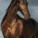 علا الغول - @ola_eisa_el_ghool - Instagram