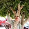 ola_eisa - @ola_eisa - TikTok
