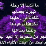 @_olafarag - Instagram