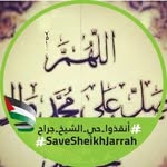 Ola Farag - @olafarag229 - Instagram
