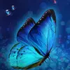 ola Farag - @ola.farag3 - TikTok