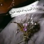 Ola Farag - @olafarag70 - Instagram