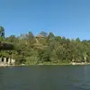 olafreeman - @olafreeman - TikTok