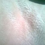 Ernestas Love - @kapitolas_flintas - Instagram