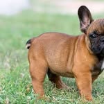 olafloyd - @olafloyd26 - Instagram