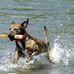 Ola Fox - Facebook