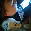 olafkeith - @olafkeith - TikTok
