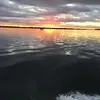 oceolalynch - @oceolalynch - TikTok