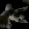 ola.may - @ola.may4 - TikTok