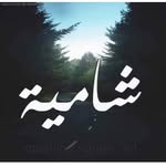 Ola Moussa - @olamoussa8 - Instagram