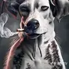 Ola Scott - @ola.scott5 - TikTok