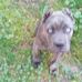 Ola Simpson - Facebook
