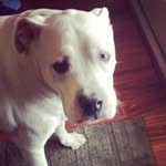 Lanyce Suddeth - @lanycesuddeth - Instagram
