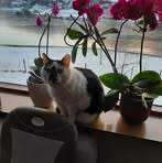 Hans Olav Knudsen - Facebook