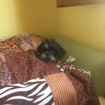 Olav F. Knudsen - @olavknudsen - Instagram