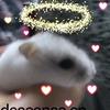 OlavOlsen - @olavolsennivzppc - TikTok