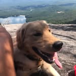 Jackson - @jacksondgolden - Instagram