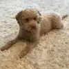 Jackson_k08 - @jacksonkolden - TikTok