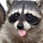 Олег Куц - @oleg_kuts99 - Instagram