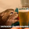 Oleg Kuts972 - @olegkuts7 - TikTok