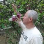 Олег Левицький - @oleg.levitskiy65 - Instagram