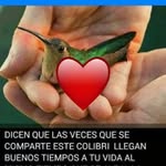 Olga Alaniz - @olgaalaniz52 - Instagram