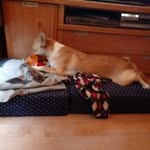 Olga Baldrich Albert - @baldrichalbert - Instagram