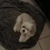 Olga Alonso - @olga.alonso21 - TikTok