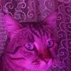 user4586513916524   Olga - @olgaanton4 - TikTok