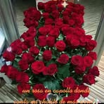 Olga Arce - Facebook