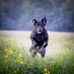 Olga Archer - Facebook