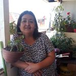 Maria Olga Carvallo Arcos - @carvalloarcos - Instagram