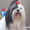 Olga Arcos - @olga.arcos6 - TikTok