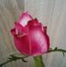 Olga Ash - Facebook