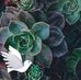 Olga Ashby Bacon - Facebook