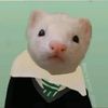 Olga Bacon - @esstio281 - TikTok
