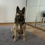 Ol-ya - @olga_baerlin - Instagram