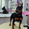 olgabarabanova47 - @olgabarabanova47 - TikTok