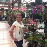 Olga Batres - @olga.batres.56 - Instagram