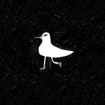 Olgabird - @olgabird - Instagram