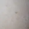 Olga blanco - @olgablancoamordecelio - TikTok