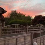 Olga Buckley - @olgabuckley57 - Instagram