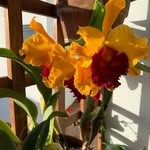 Olga Buckley - @olgabuckley23 - Instagram